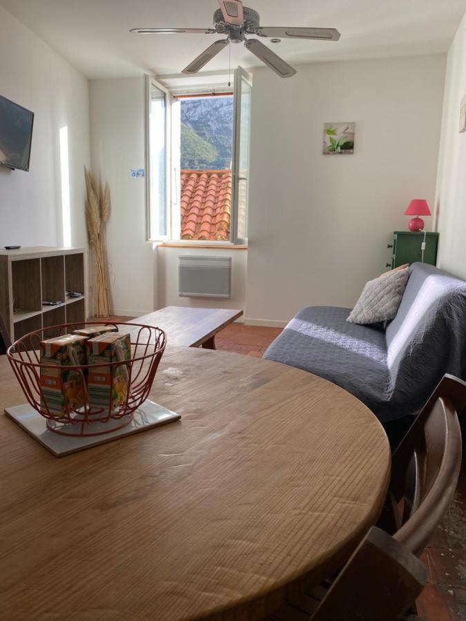 Appartement La Tomette - Le Charme De L'Authentique à Maury Extérieur photo
