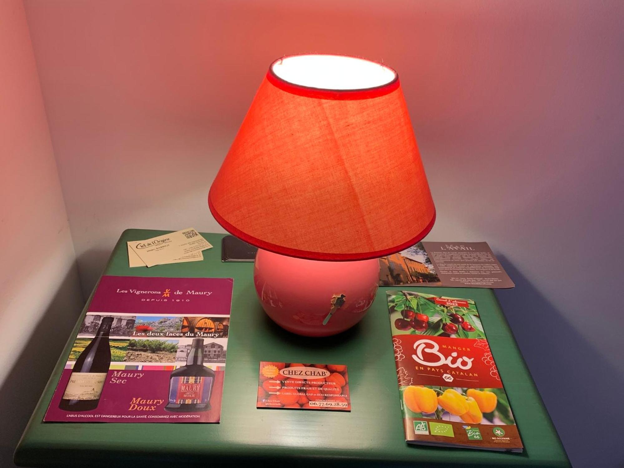 Appartement La Tomette - Le Charme De L'Authentique à Maury Extérieur photo