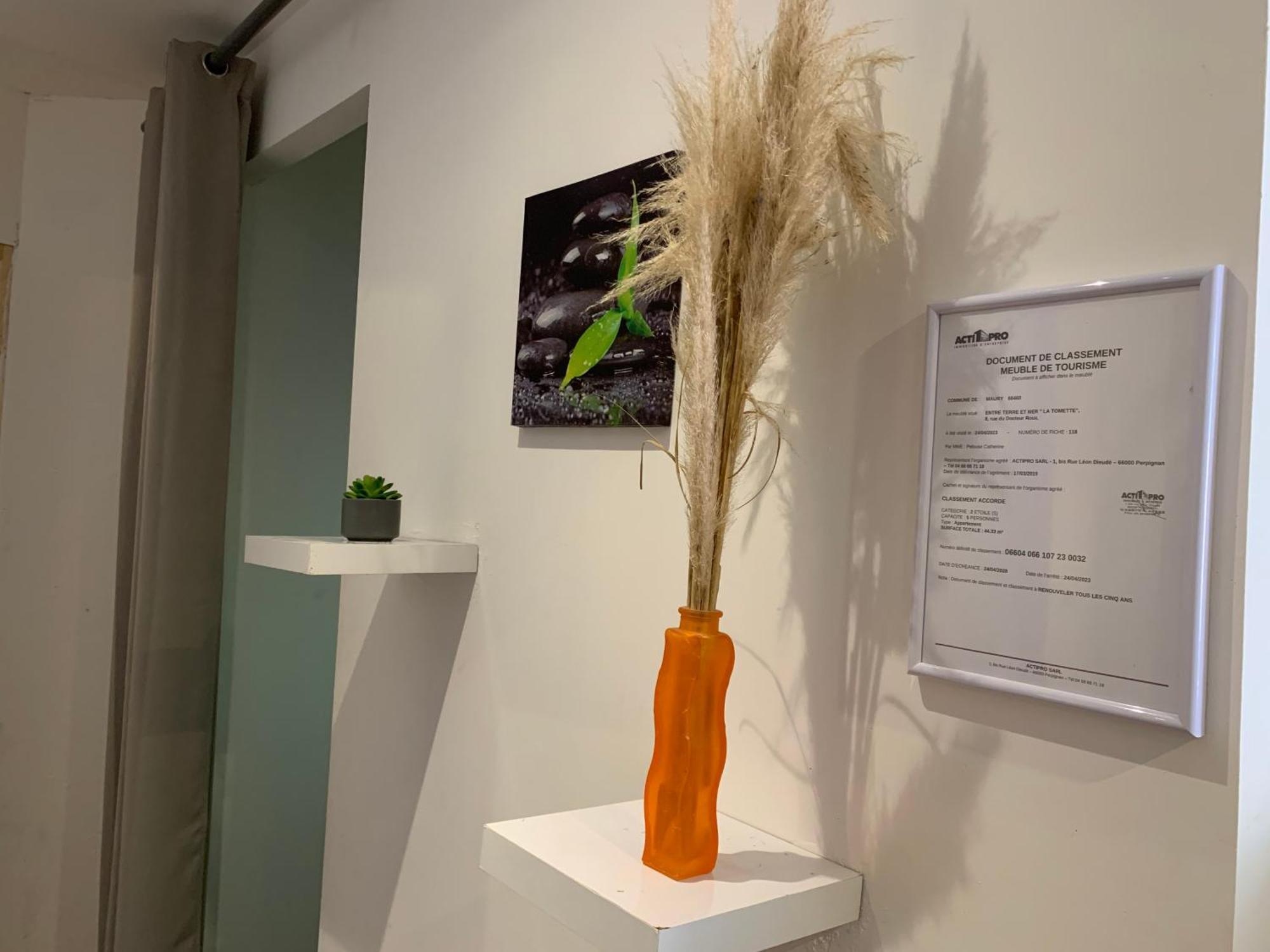 Appartement La Tomette - Le Charme De L'Authentique à Maury Extérieur photo